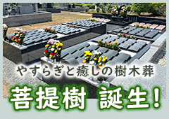 やすらぎと癒しの樹木葬 菩提樹 誕生！